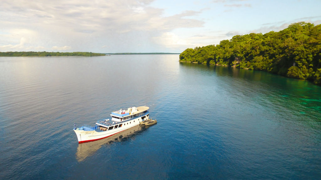 Bilikiki Cruises