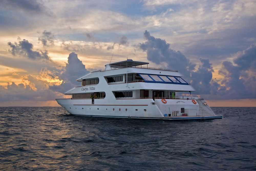 Carpe Vita Explorer