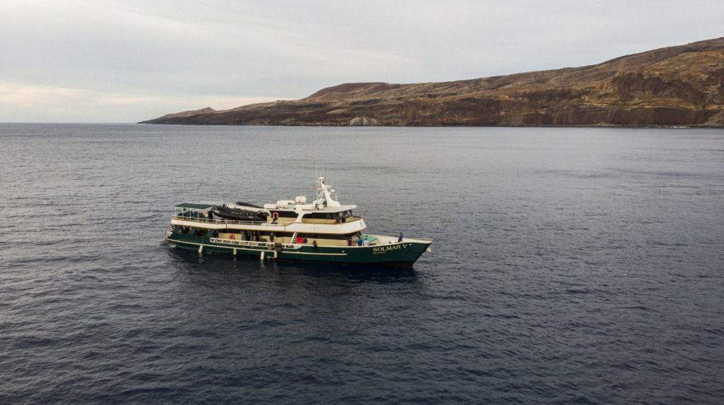 Pelagic Fleet