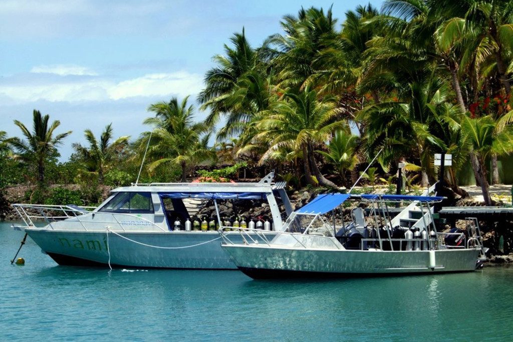 Wananavu