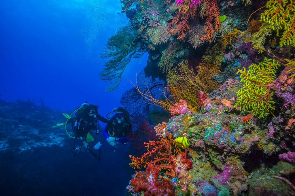 Fiji