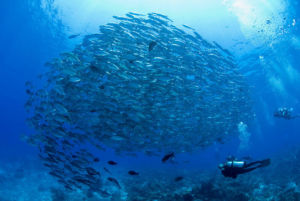 Azores